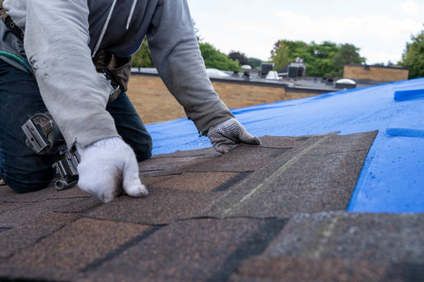 Best Commercial Roof Installation  in Northport, AL